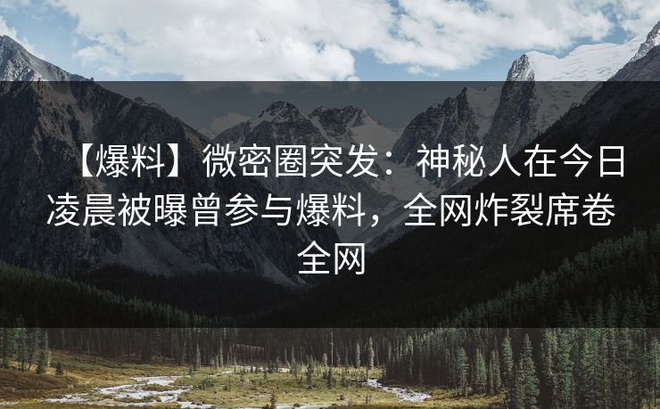 【爆料】微密圈突发：神秘人在今日凌晨被曝曾参与爆料，全网炸裂席卷全网