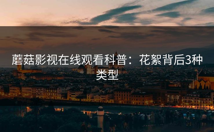 蘑菇影视在线观看科普：花絮背后3种类型