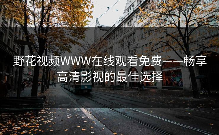 野花视频WWW在线观看免费——畅享高清影视的最佳选择
