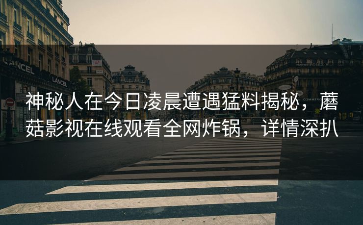 神秘人在今日凌晨遭遇猛料揭秘,蘑菇影视在线观看全网炸锅,详情深扒 神秘人在今日凌晨遭遇猛料揭秘,蘑菇影视在线观看全网炸锅,详情深扒